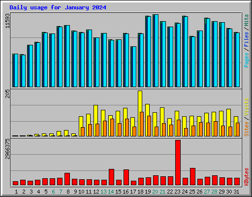 Daily usage for January 2024