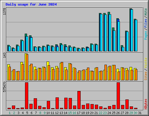 Daily usage for June 2024