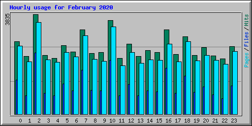Hourly usage for February 2020