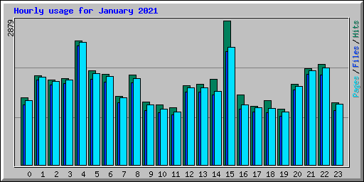 Hourly usage for January 2021