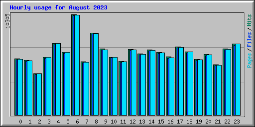 Hourly usage for August 2023