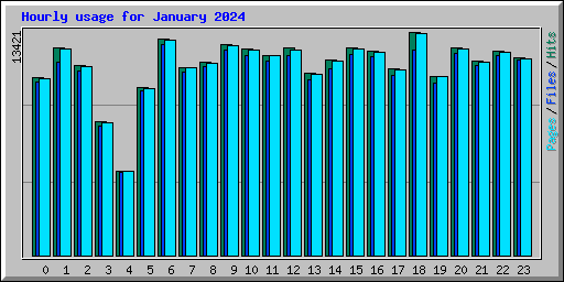 Hourly usage for January 2024