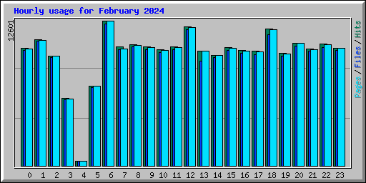 Hourly usage for February 2024