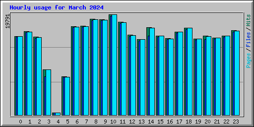 Hourly usage for March 2024