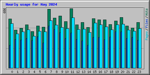 Hourly usage for May 2024