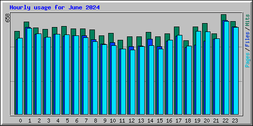 Hourly usage for June 2024
