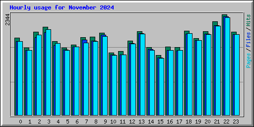 Hourly usage for November 2024