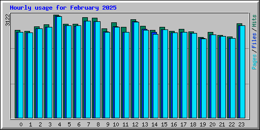 Hourly usage for February 2025
