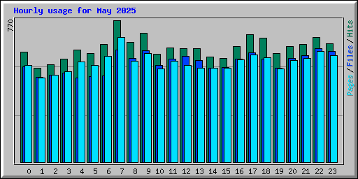 Hourly usage for May 2025