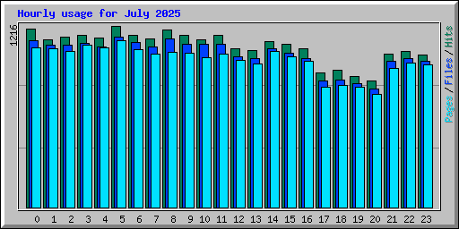 Hourly usage for July 2025