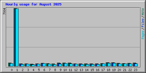 Hourly usage for August 2025
