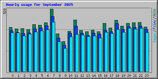 Hourly usage for September 2025
