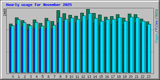 Hourly usage for November 2025