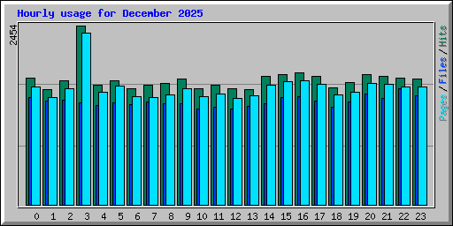 Hourly usage for December 2025