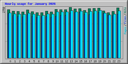 Hourly usage for January 2026