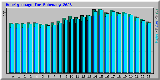 Hourly usage for February 2026